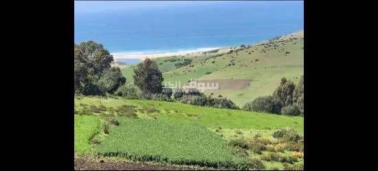 ثلاث هكتارات ملكية عدلية