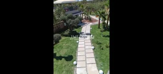 فن الحدائق والديكورات والنباتات