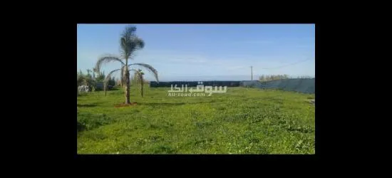 للبيع أرض فلاحية تيتري 2500مثر بالصخيرات
