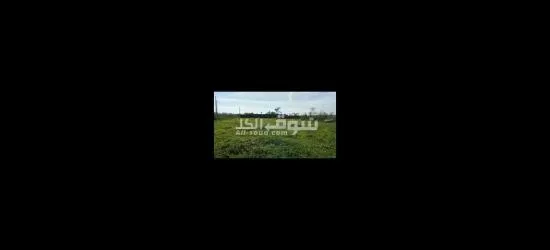 للبيع الأرض فلاحية تيتري 2500 مثر بالصخيرات - 3