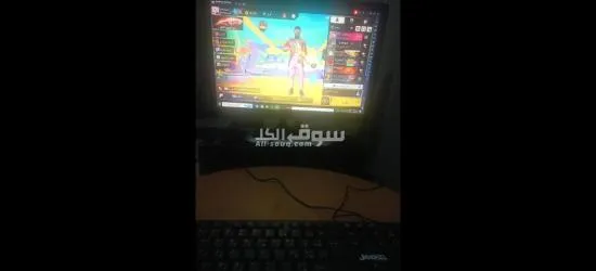طنجة مغوغة صغيرة
