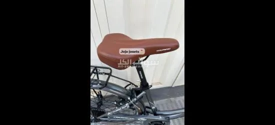 Vélo madame superbe - 3
