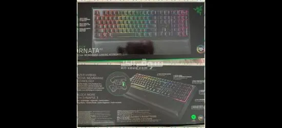 Keyboard Razer Ornata V2 / Mouse Razer Basilisk V2