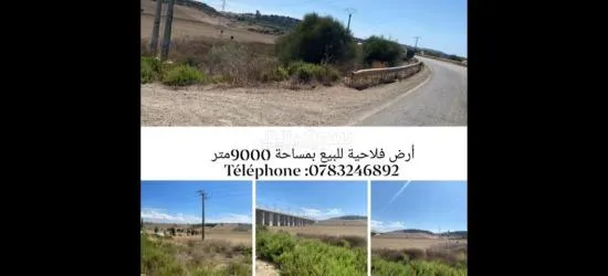 أرض فلاحية للبيع محفضة