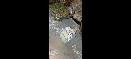 دراجي الحناء و الأعراس - 8