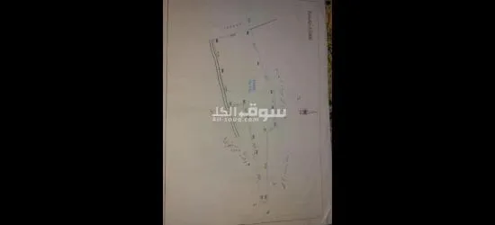 أرض للببع ببين الويدان - 3