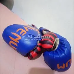 قفازات ملاكمة في حالة ممتازة