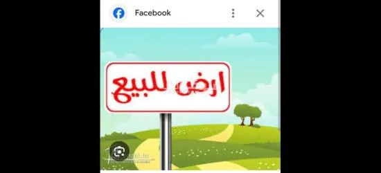 ارض فلاحية محفظة مساحتها 3هكتار