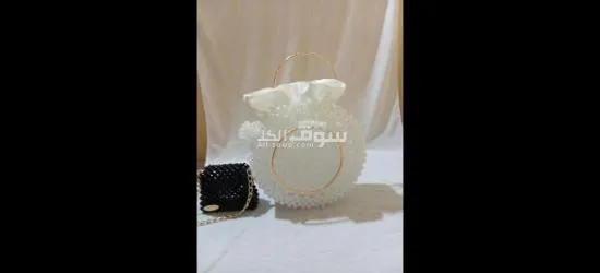 حقيبة اليد نسائية - 3