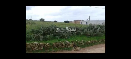 أرض للبيع فيها دار الملكية للبيع - 10
