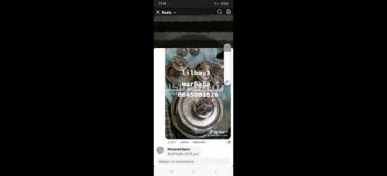 الاواني الفضية - 4