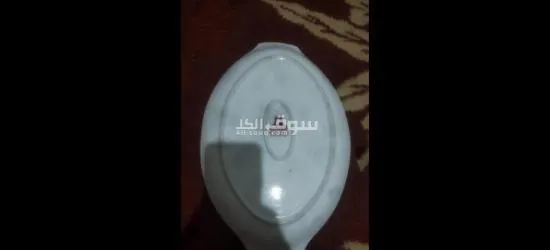 طبسل الودع الحر