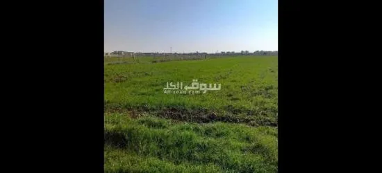 نواحي الداربيضاء دروة بدوار لعسارة