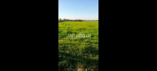 دوار اولاد سلامه بوزنيقه