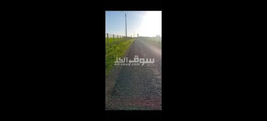 دوار اولاد سلامه بوزنيقه - 3