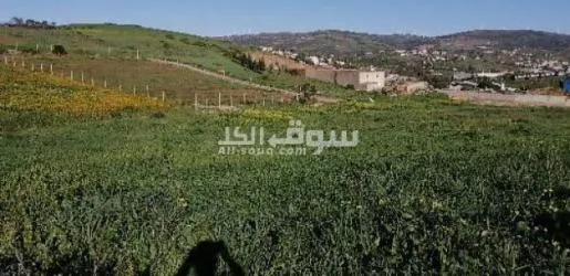 أرض محفضة للبيع