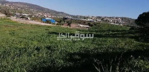أرض محفضة للبيع - 2