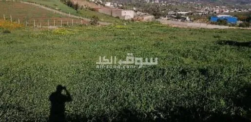 أرض محفضة للبيع - 3