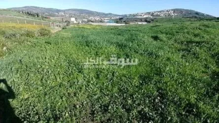 أرض محفضة للبيع - 4