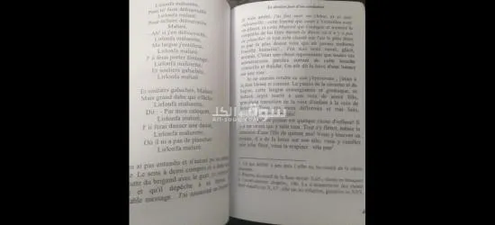 le dernier jour d'un condamné - 4