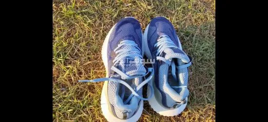 دروة. مشروع