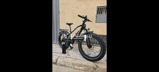 vélo électrique - 4