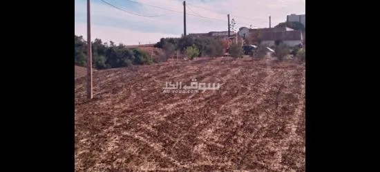 🌿🏡 **فرصة نادرة لامتلاك بقعة أرضية محفظة بالقرب من تطوان!** 🌟 - 2