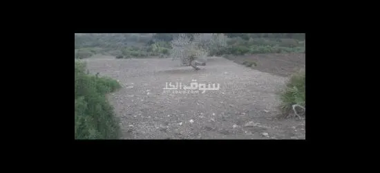 🌟🌟 فرصة استثمارية نادرة للبيع بتطوان! 🌟🌟