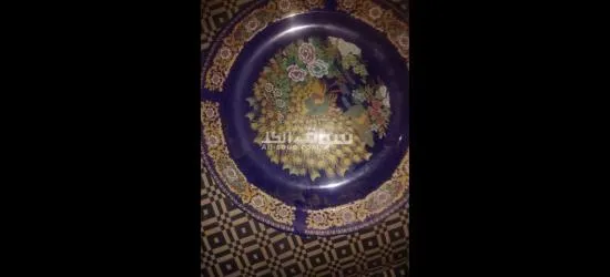 تبسيط طاوس الحار للبيع - 2