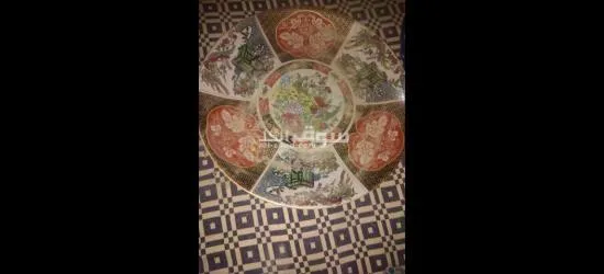 تبسيط طاوس الحار للبيع - 3