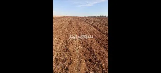 فاس طريق صفرو