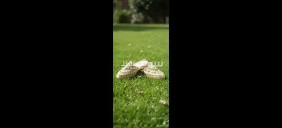 أحذية رافيا