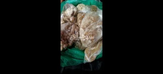 التقة والمسداقية - 3