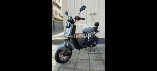 motor electricite - 15