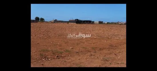 أرض فلاحية محفظة للبيع صالحة لإنشاء مصانع و مشاريع صناعية - 7