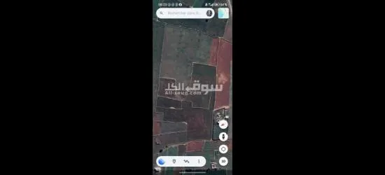 ارض فلاحية 4 هكتار محفظة تيتر فونصي نواحي ازمور