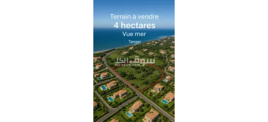 أرض استثمارية مميزة على الطريق الرئيسية لأشقار