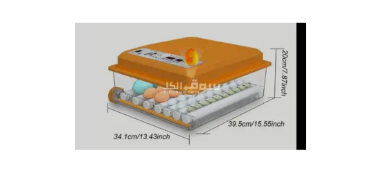 فقاسة بيض حجم 36