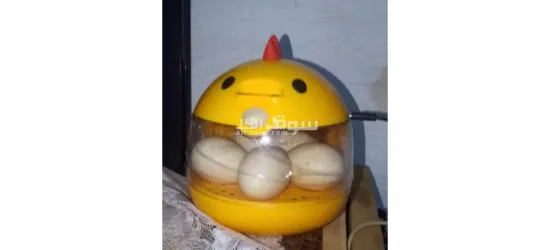 فقاسة صغيرة - 2