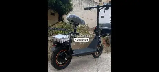 تروتينيت إيطاليا