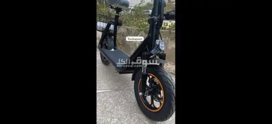تروتينيت إيطاليا - 4