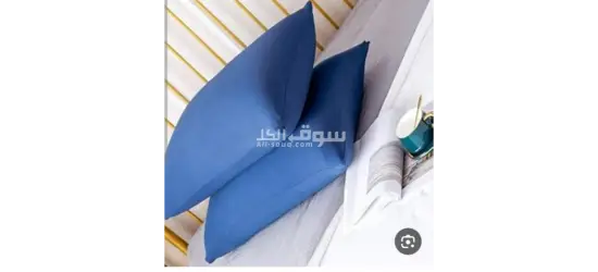 مشروع رياض
