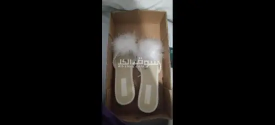 من يريد التواصل معي عبر الرقم التالي